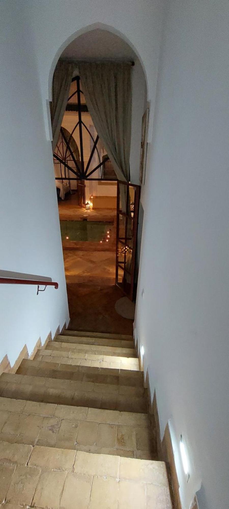 Riad Ramzi Heddad المظهر الخارجي الصورة